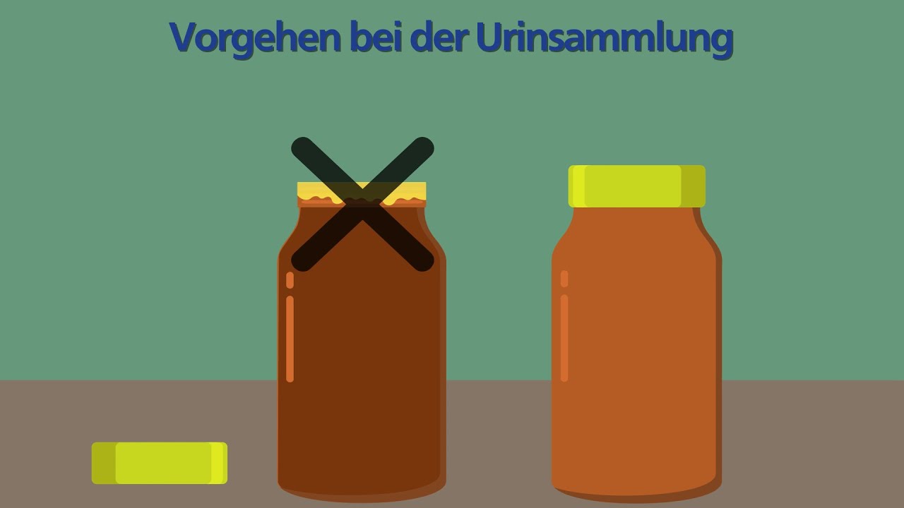 Erklärvideo BLV Urinsammlung