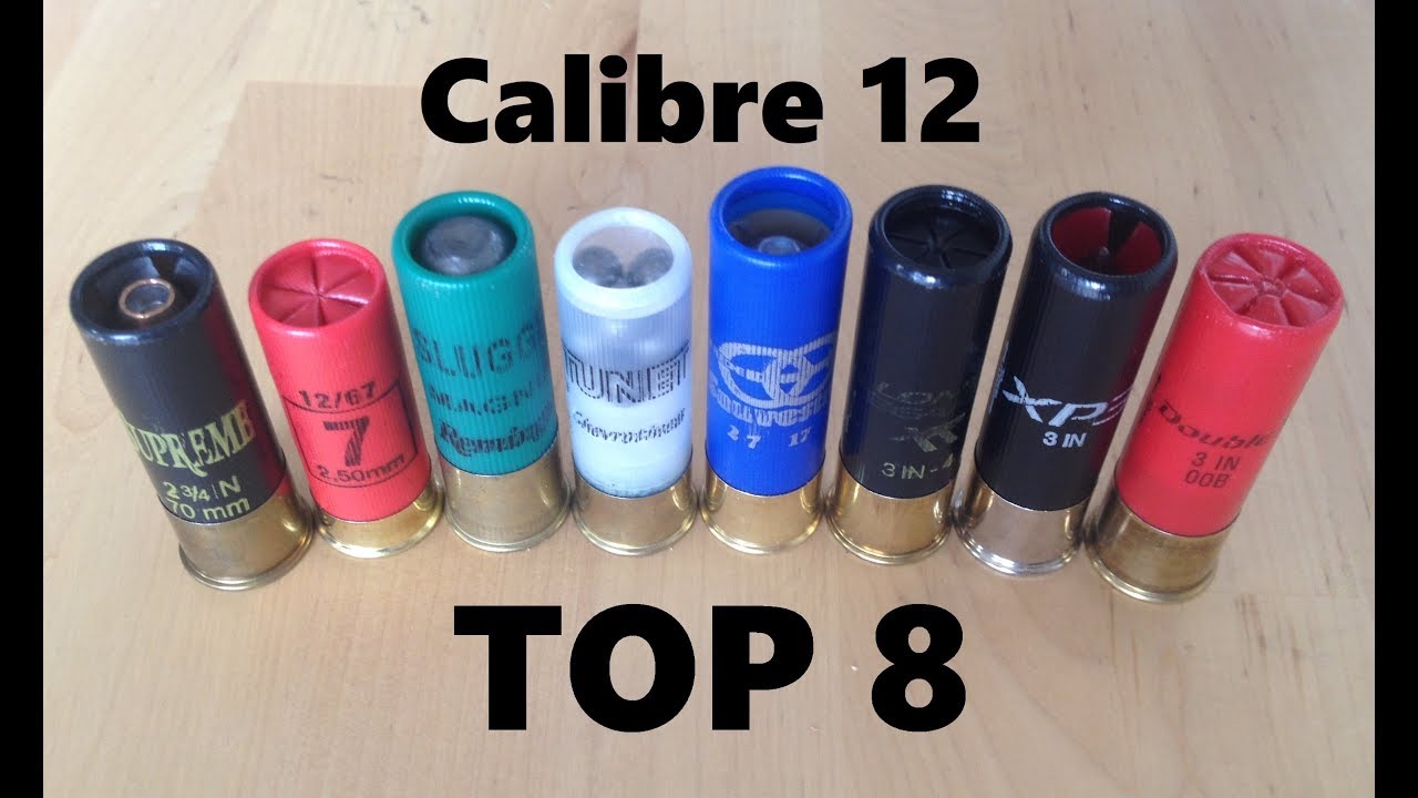 TOP 8 : Munition de calibre 12