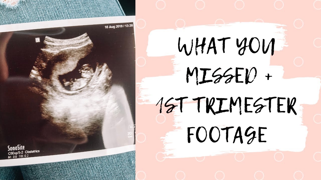 WHAT YOU MISSED IN MY PREGNANCY SO FAR! | FIRST TRIMESTER