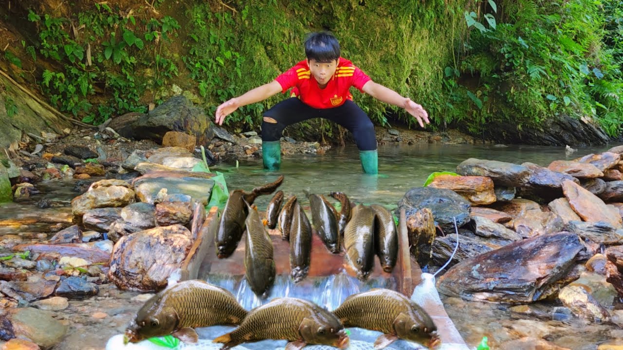 Unique fishing method of boy Lam. Caught many big fish in the stream.