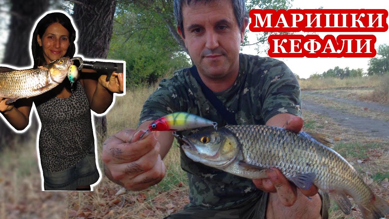 Улов на Речни КЕФАЛИ при ТЕСТA на Дебели, СОМСКИ Воблери //  River Chubs While TESTING CATFISH Lures
