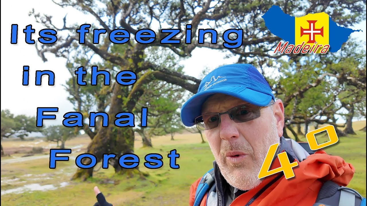Fanal Forest FAIL AGAIN, Madeira bad Weather