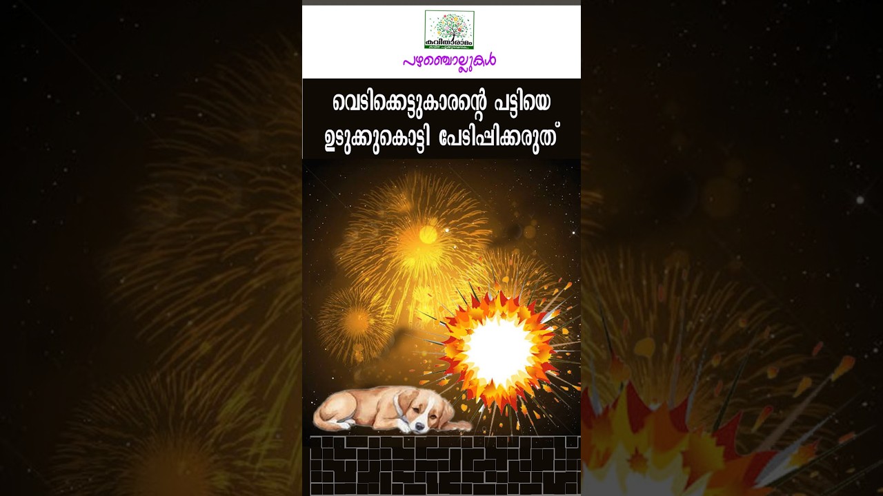 Don't scare the firecracker's dog with clothes | Proverbs #malayalam #proverbs