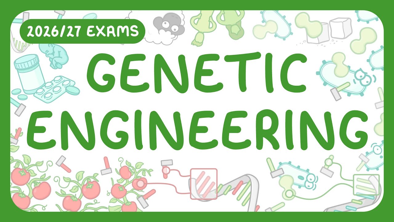 GCSE Biology - Genetic Engineering | GMO (2026/27 exams)