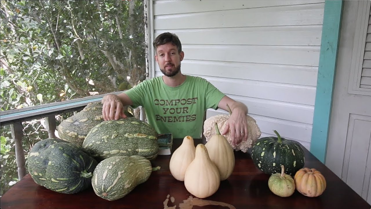 A table full of pumpkins - and I've found my new variety!