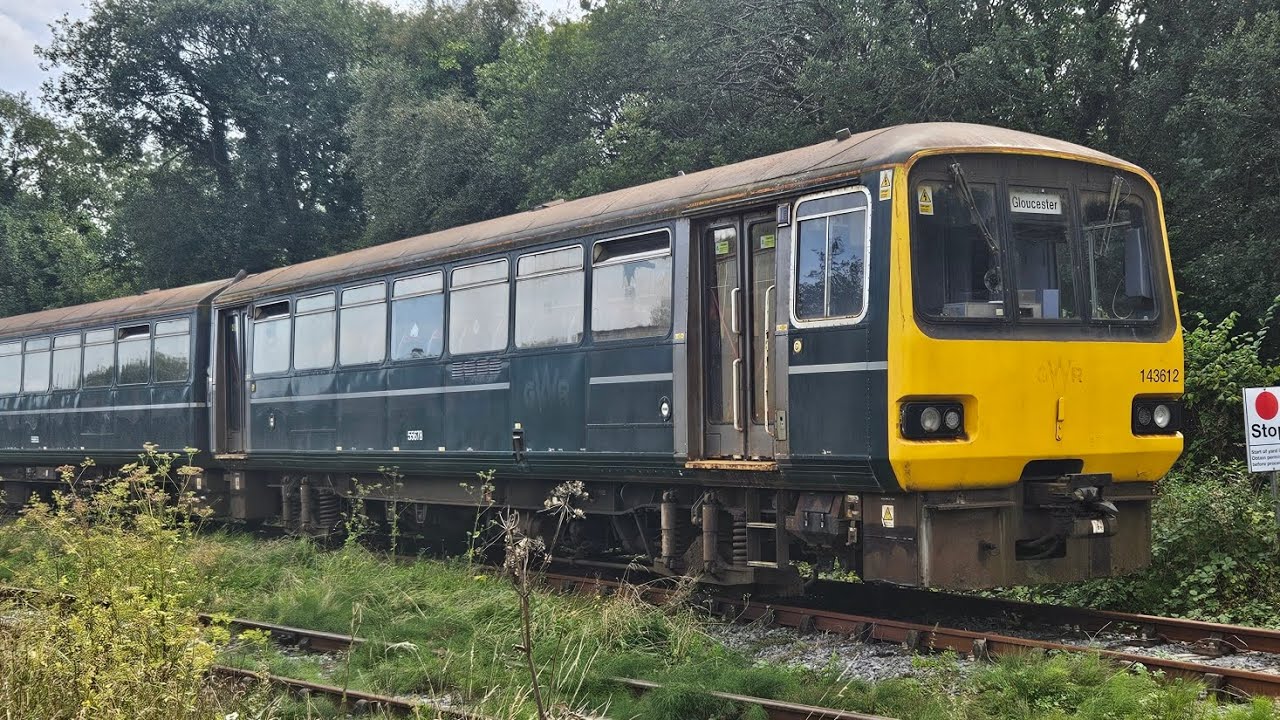 Trains At Cynheidre (Llanelli & Mynydd Mawr Railway) (06/09/25)