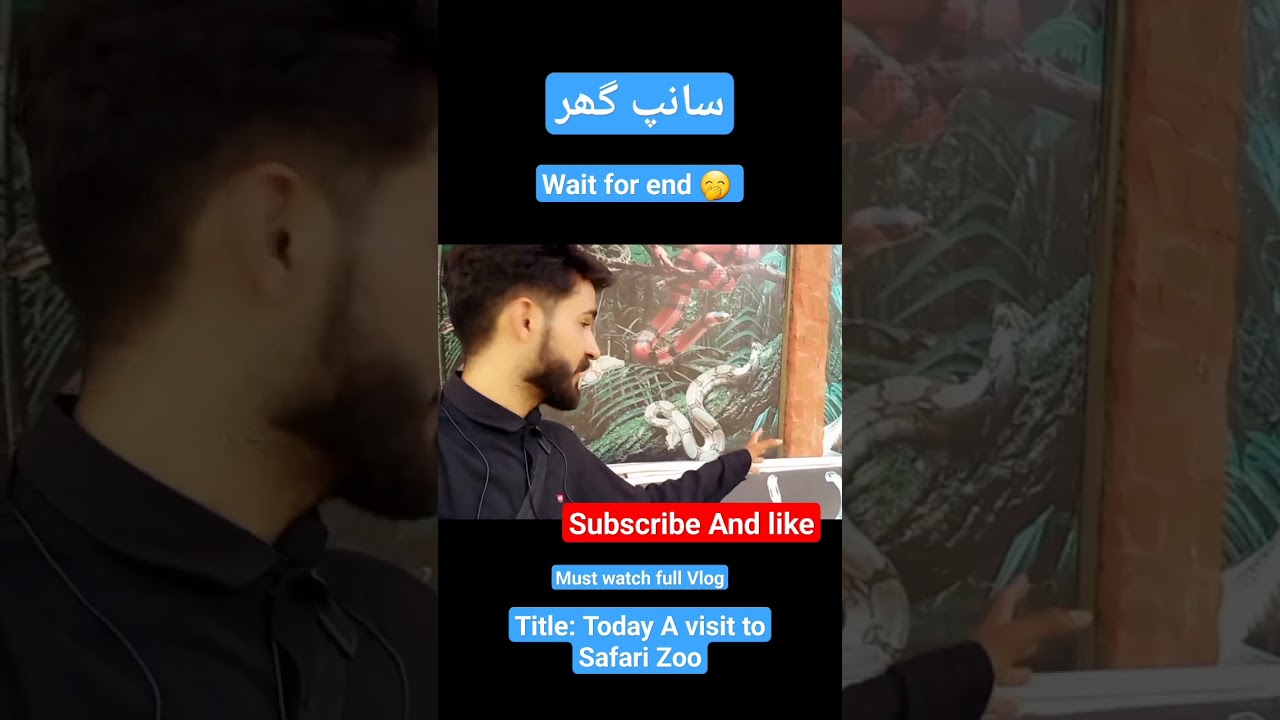 Snake house | sanp Ghar | #snakevideo #snake #snakehouse #fypシ゚viral #vlog #fypシ #tiktok #youtuber