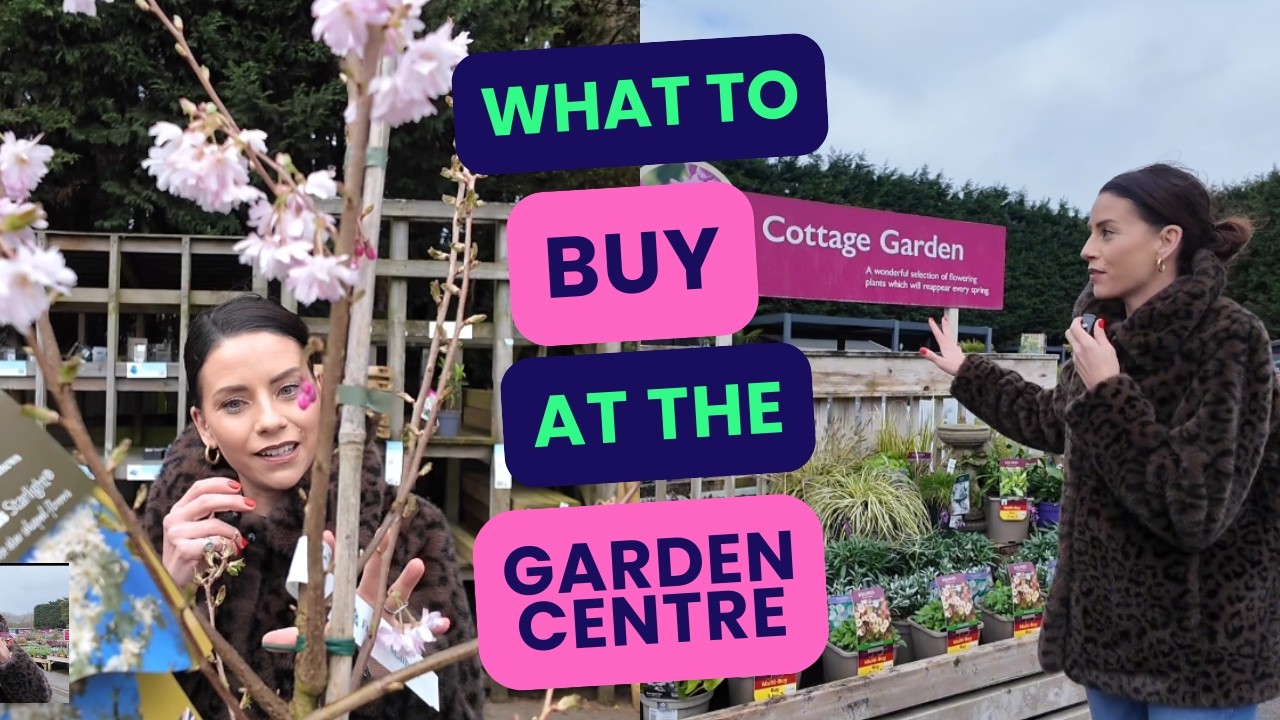 What To Buy At The Garden Centre Now