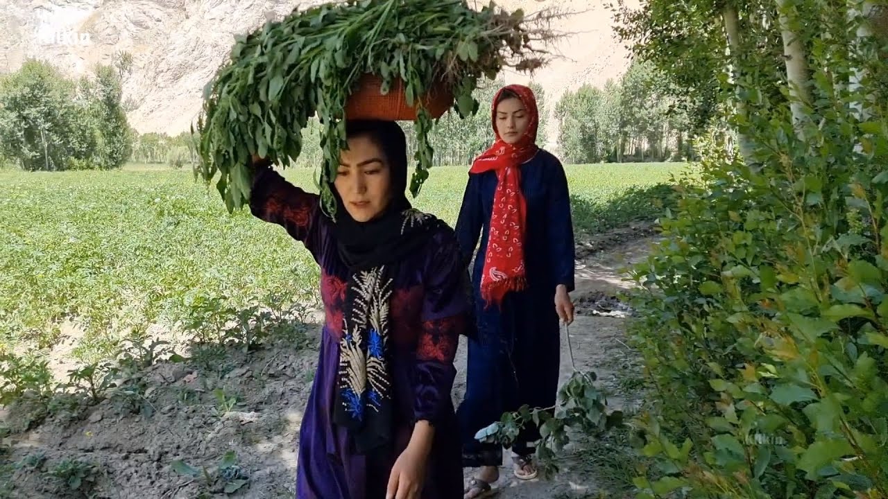 Afghan girls in Remote villages in the center Afghanistan and the life of its people