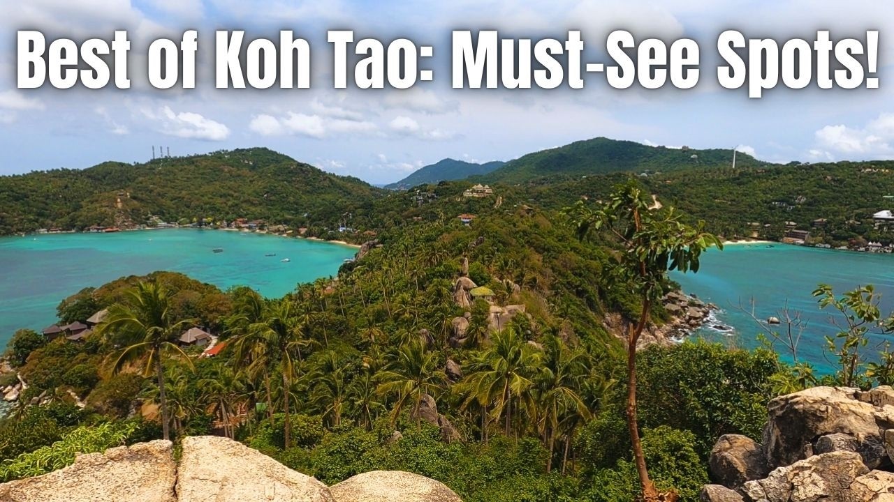 Koh Tao Beach & Food Guide | Top Attractions | Sharks Bay, Freedom Beach & John-Suwan Viewpoint