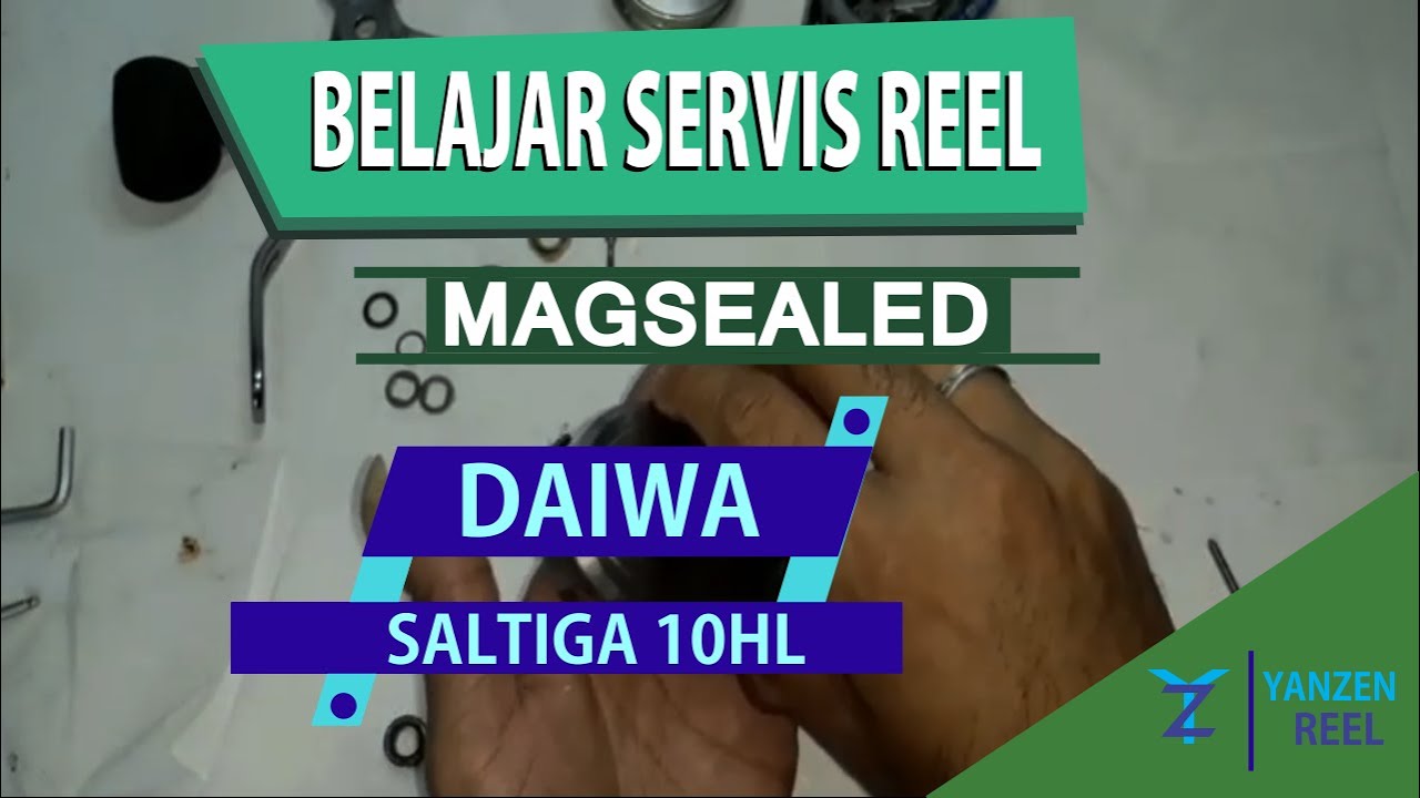 DAIWA SALTIGA 10HL * 80