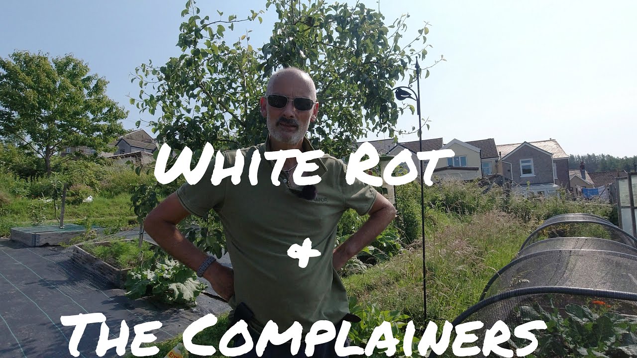 White Rot and The Complainers | Allotments For Fun and Food