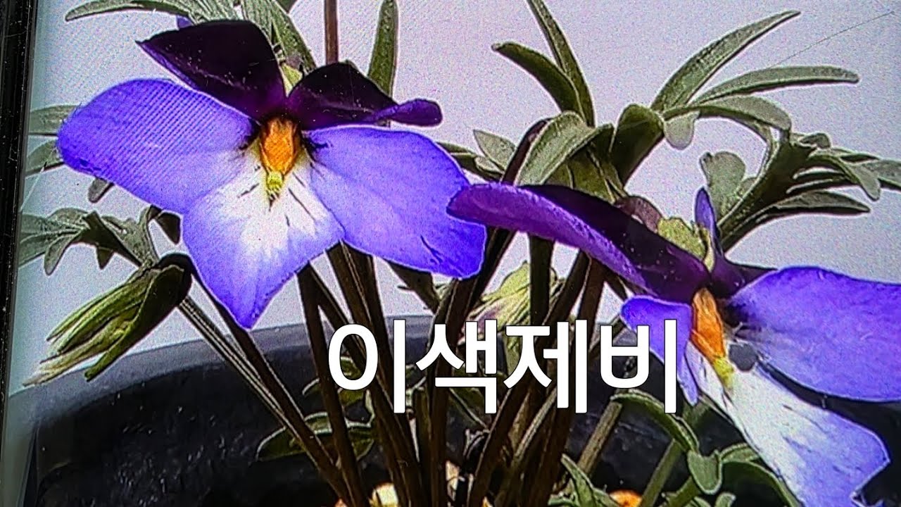 2026년 3월 1일