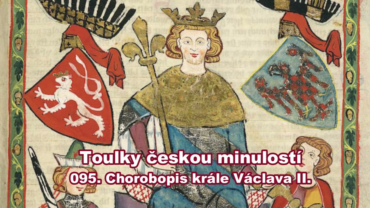 095  Chorobopis krále Václava II