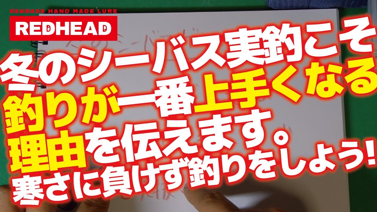 冬のシーバス実釣こそ釣りが一番うまくなる理由を伝えます。寒さに負けず釣りをしよう!!