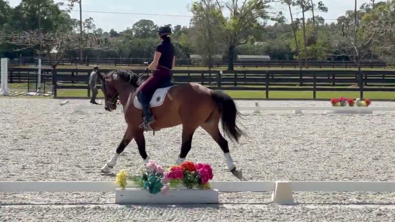 Lexington IHF some canter 