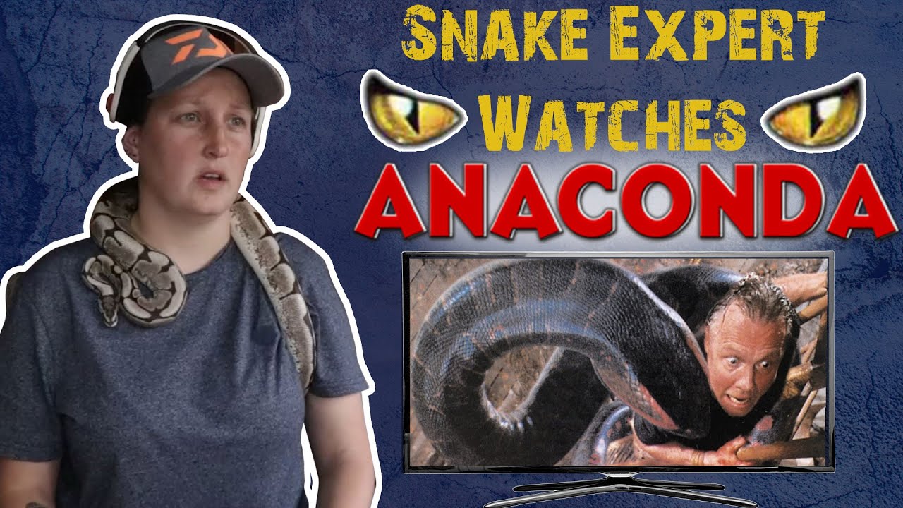 Snake Expert Reacts to Anaconda(1997) | Falcky Reptiles