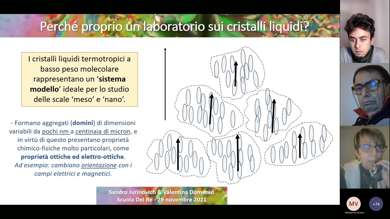 Un laboratorio di introduzione ai Cristalli Liquidi