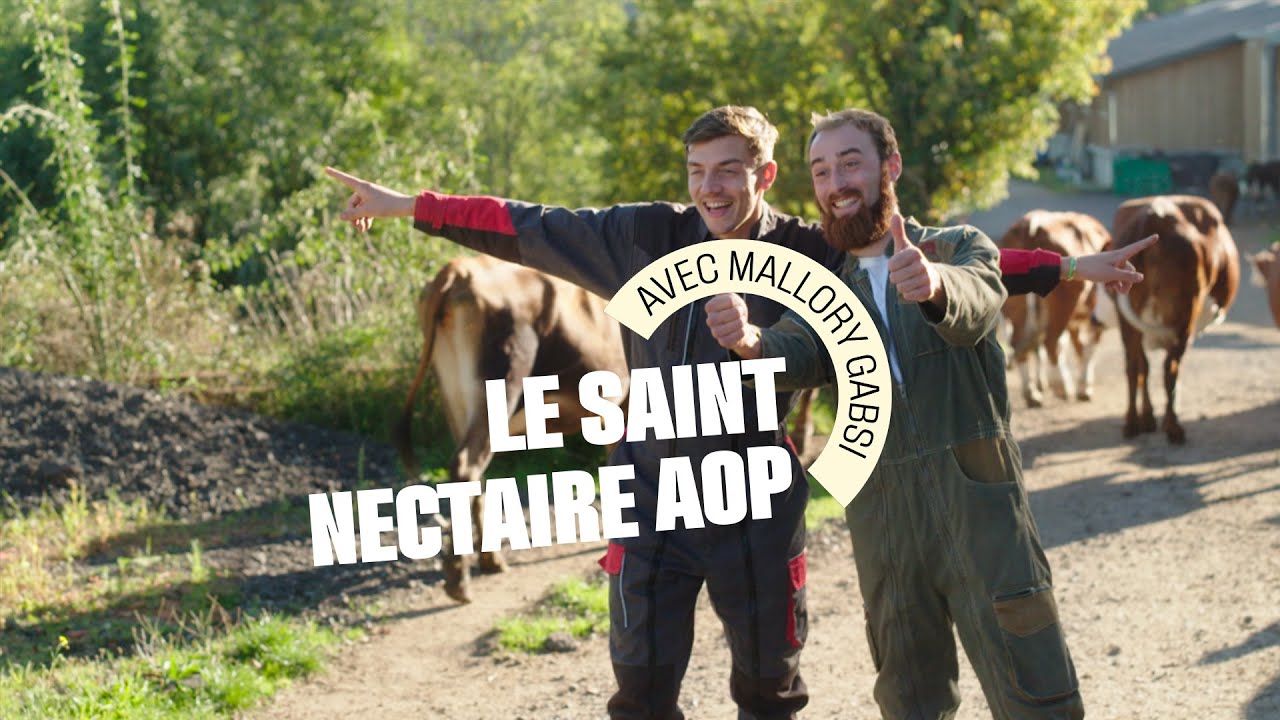Grand Frais | À la découverte du Saint-Nectaire fermier  avec Mallory Gabsi et Lucas
