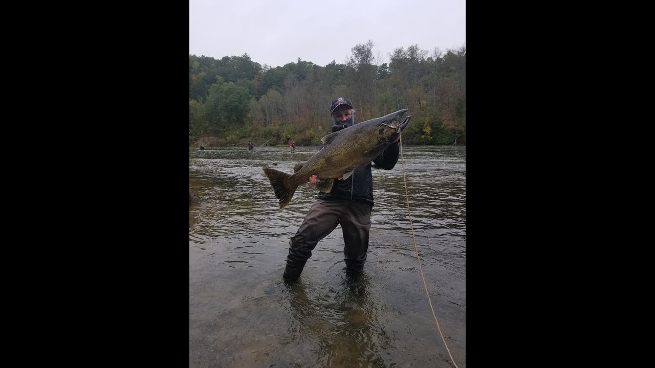 Manistee Salmon Run Michigan Gear and Technique