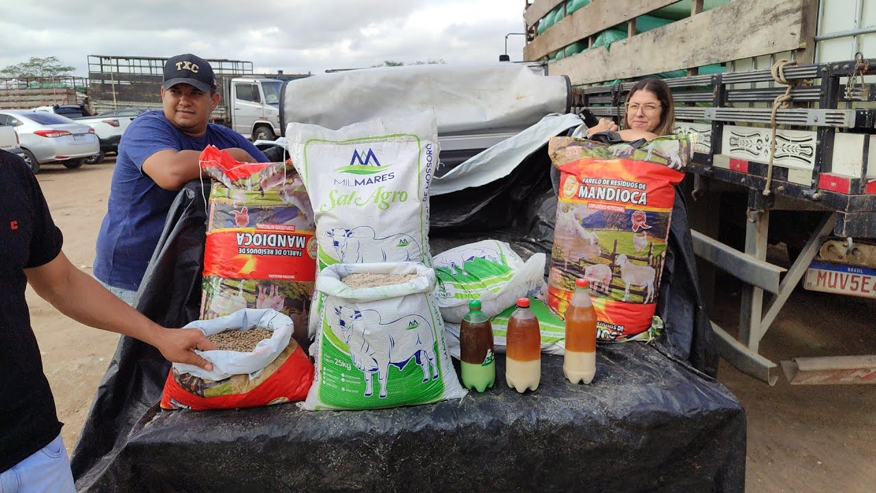 Feira de produto pecuário Cachoeirinha-PE 19/02/26