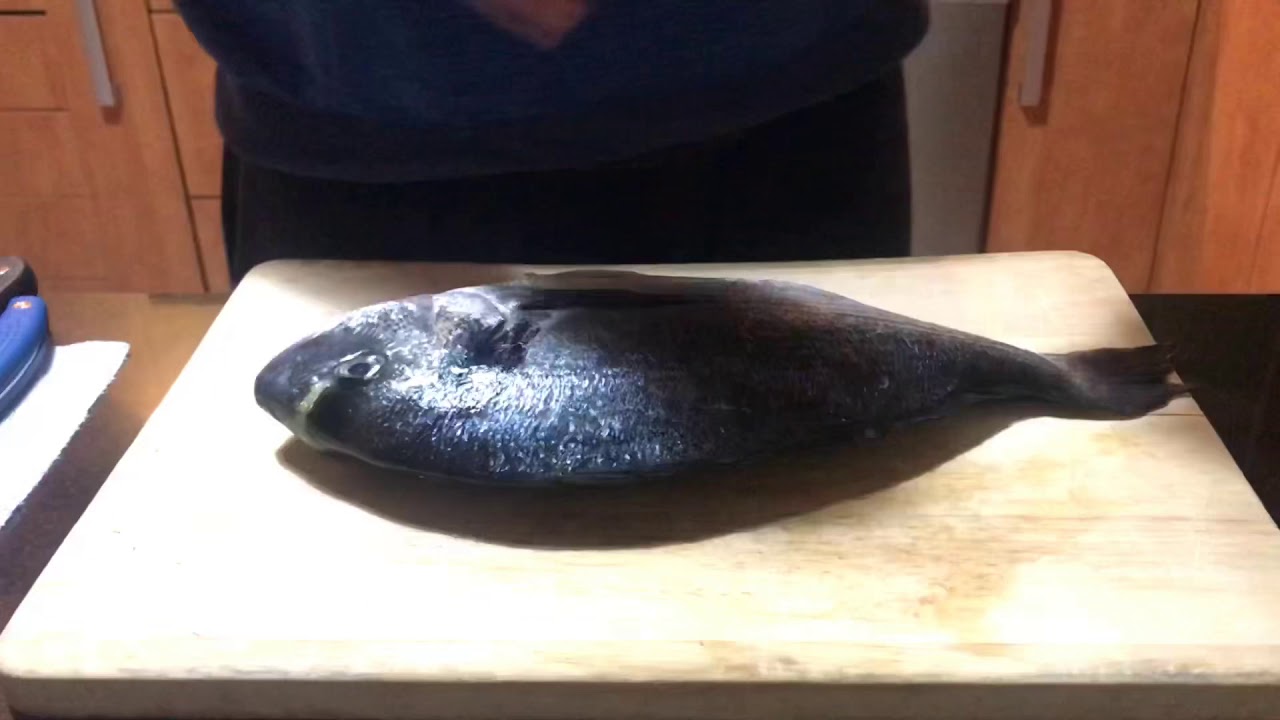 Dorada a la espalda