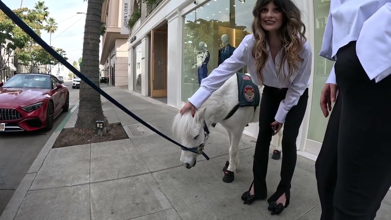 Lt. Rowdy takes a walk around Rodeo Drive 2 - 10 100423.