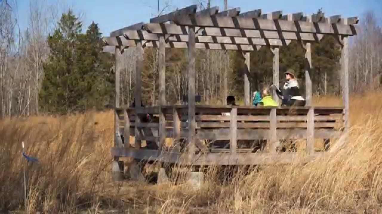 Restoring a native grass meadow at Horton Grove Nature Preserve