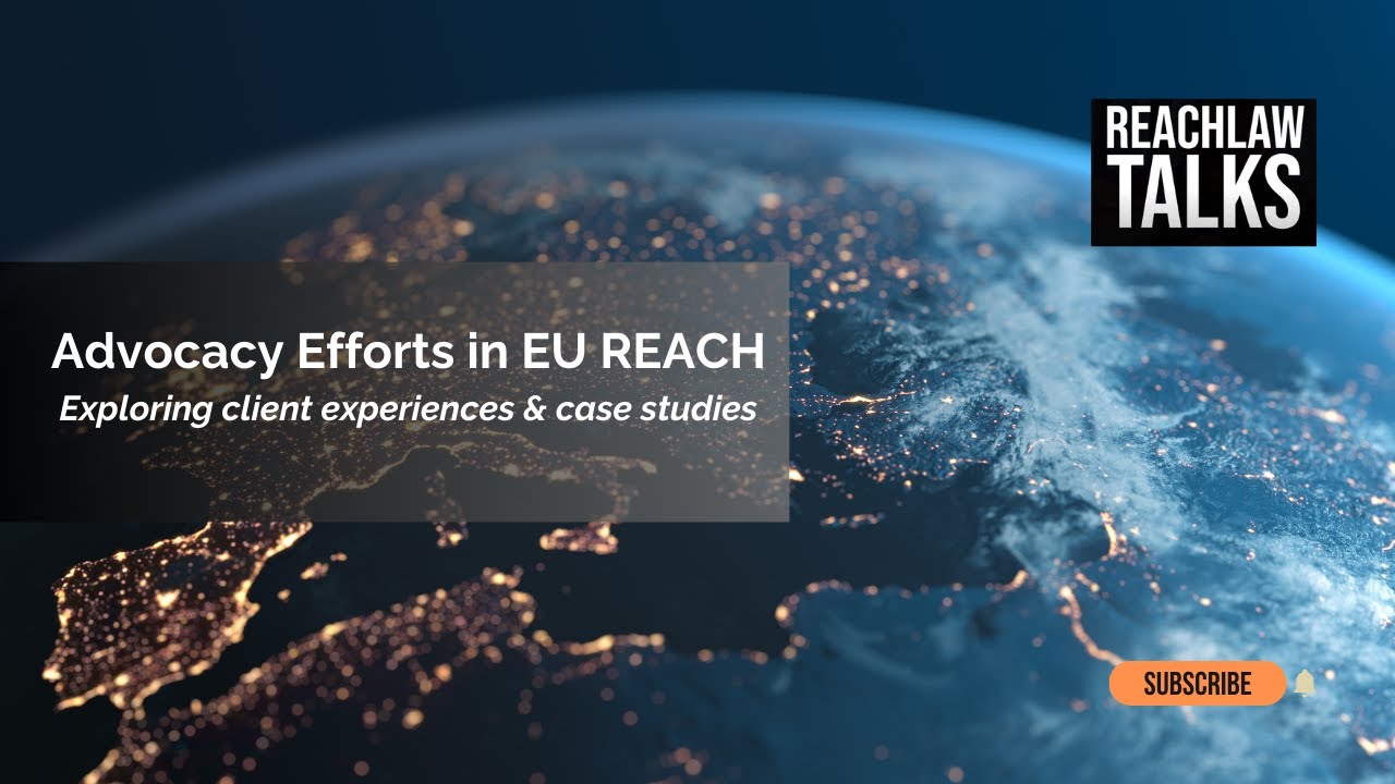 Advocacy efforts in EU REACH: Exploring client experiences and case studies
