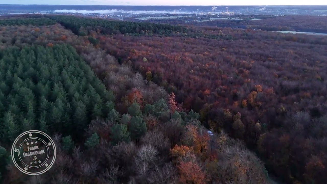 Survol for&ecirc;t en automne, La Mailleraye-sur-Seine | Drone 4K | FRANCE