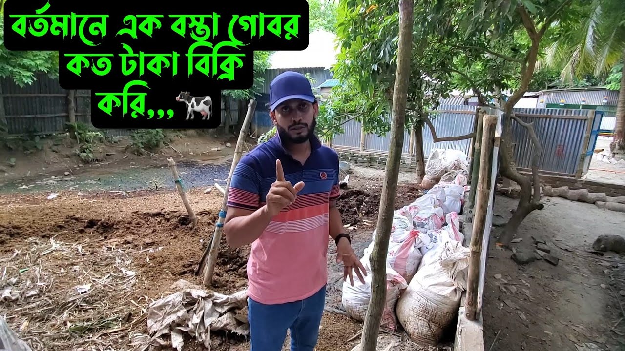 বর্তমানে,,এক বস্তা গোবর,,,কত টাকা বিক্রি করি,, 🐄