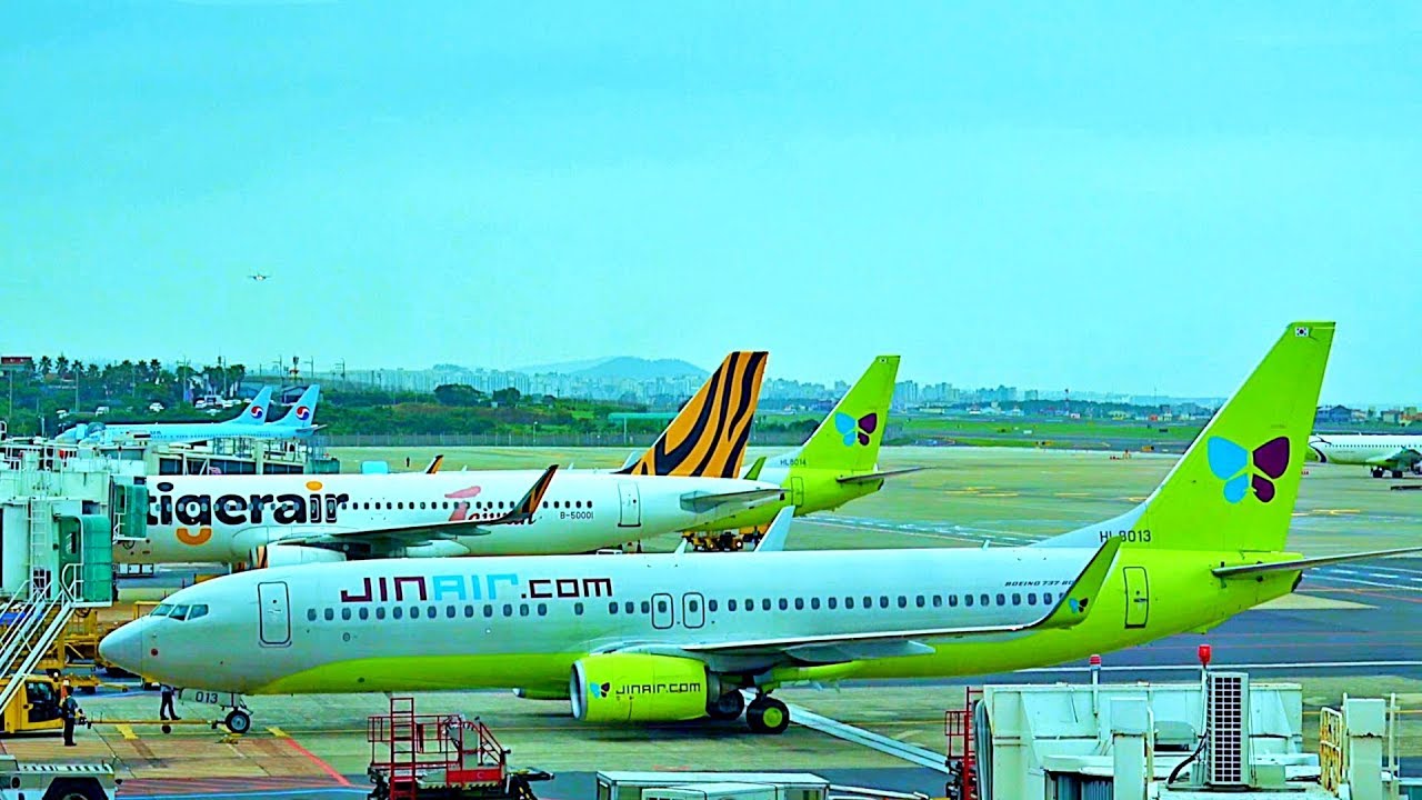 GreatFlyer 20 min Plane Spotting JEJU International Airport/Споттинг в Международном аэропорту Чеджу
