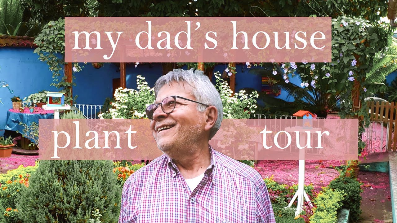 Dad's Plant Tour - Peruvian Jungle