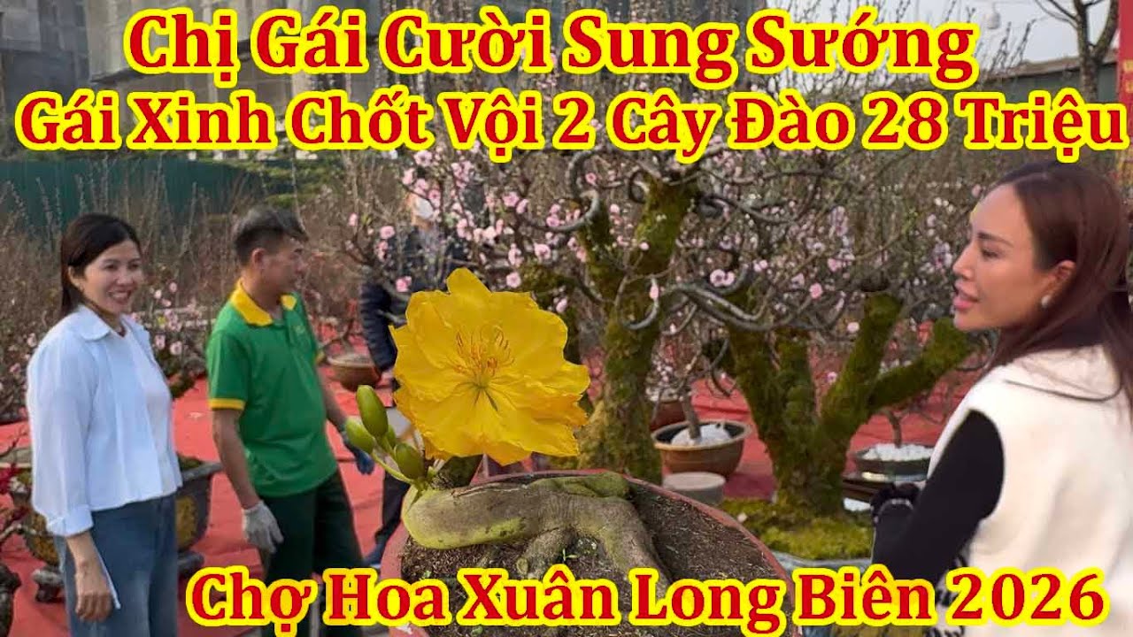CHỊ GÁI CƯỜI SUNG SƯỚNG DFUOCWJ EM GÁI XINH CHỐT VỘI 2 CÂY ĐÀO GIÁ 28 TRIỆU - Chợ hoa xuân Long Biên