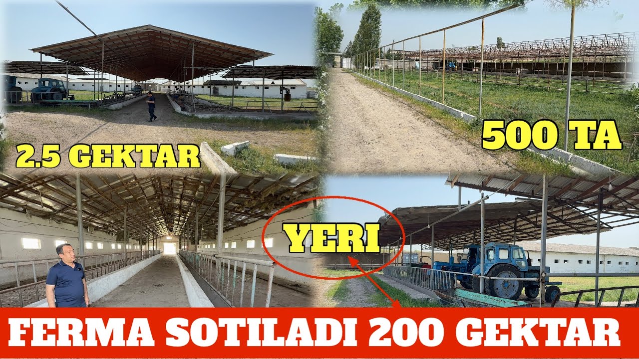 FERMA SOTILADI 2.5 GEKTAR SUV SVET GAZ BOR YERI DALASI 200 GEKTAR ARZON NARXDA MUOMMOSI YO'Q