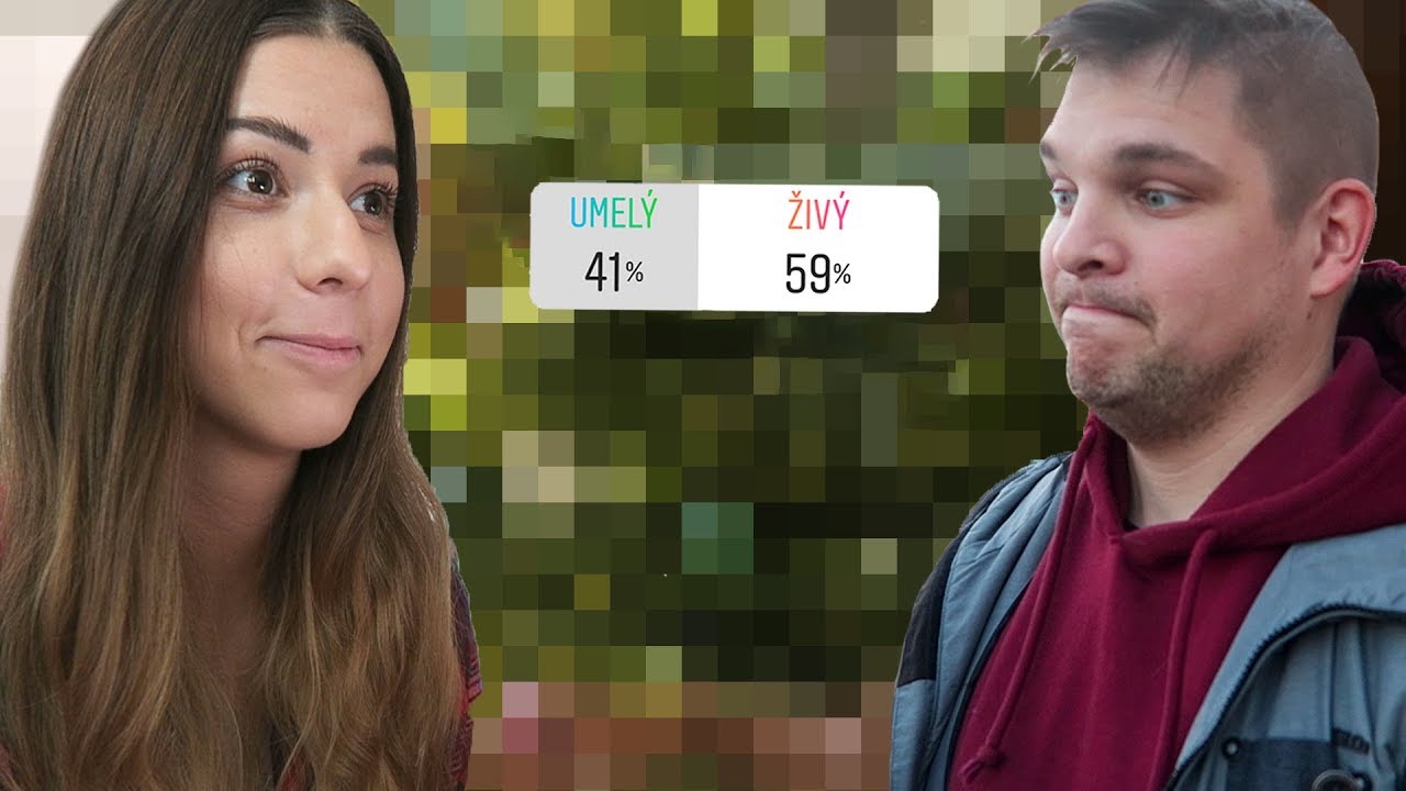 Rozhodli ste za mňa - aký vianočný stromček máme? 🎄| Patra Bene