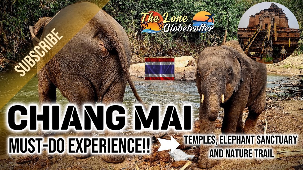 #thailand : Chiang Mai Old Town and Elephants Sanctuary Experience