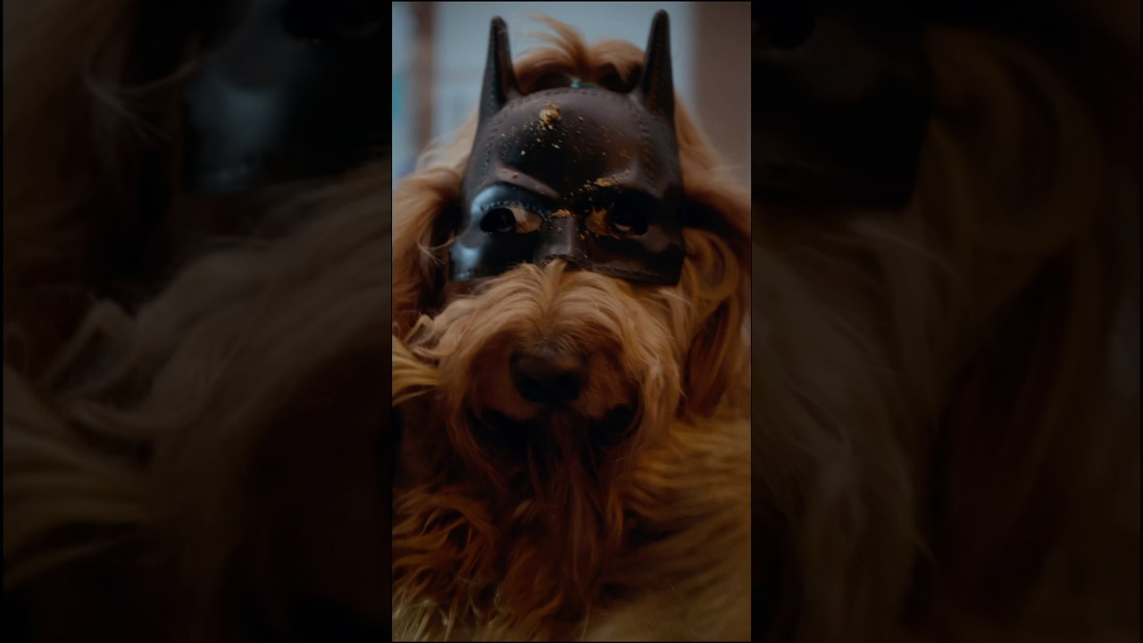 The Bark Knight: Batdog Begins (Part 2) 