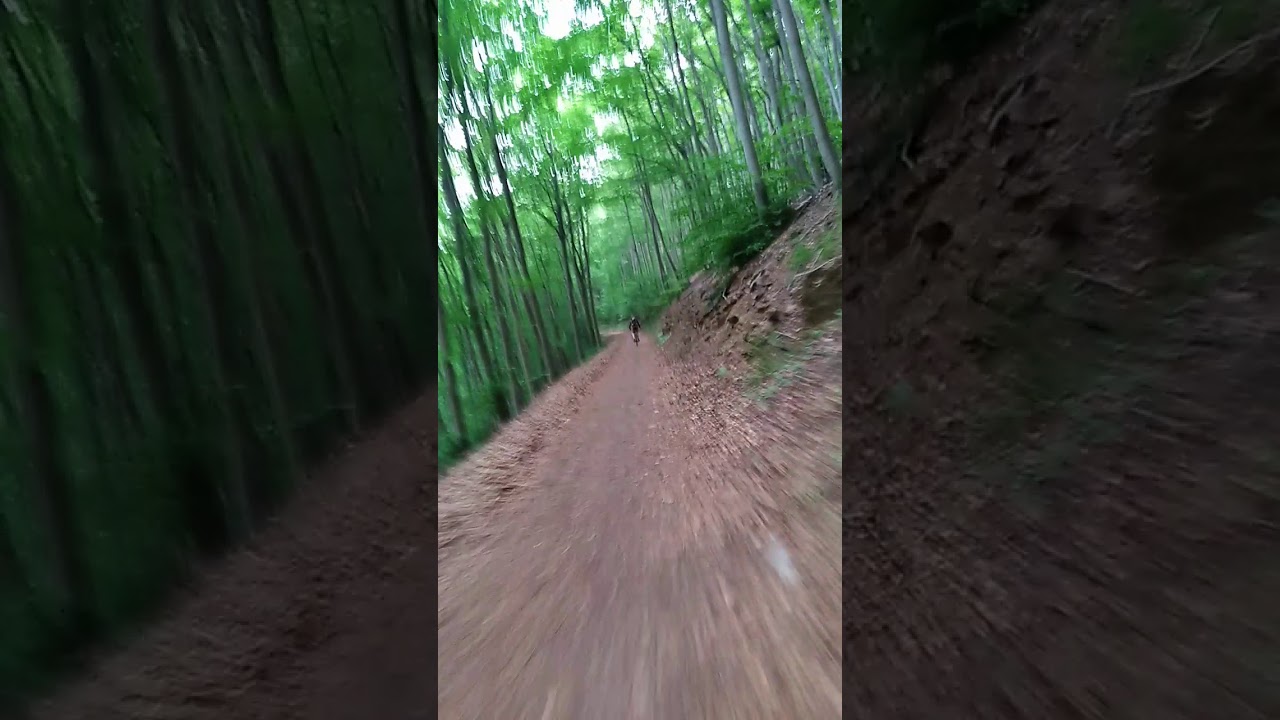 MTB im S&uuml;ntel
