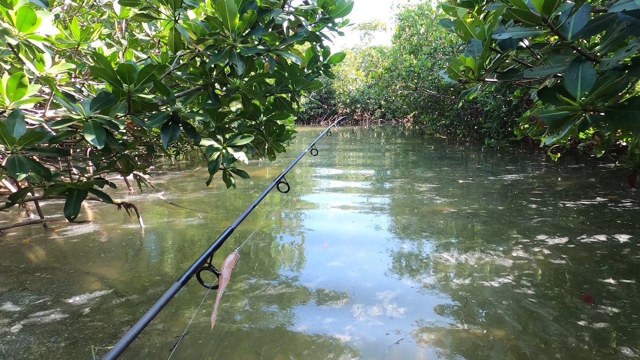 Prospecting Wade Spots - Big Torch Key & Coupon Bight