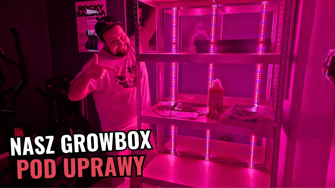 Robimy growbox do uprawy warzyw