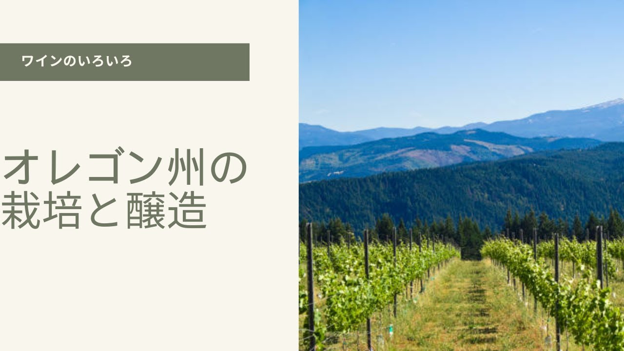 オレゴン州の栽培と醸造 #ワイン豆知識 #ワイン #ワインのある暮らし #winelover