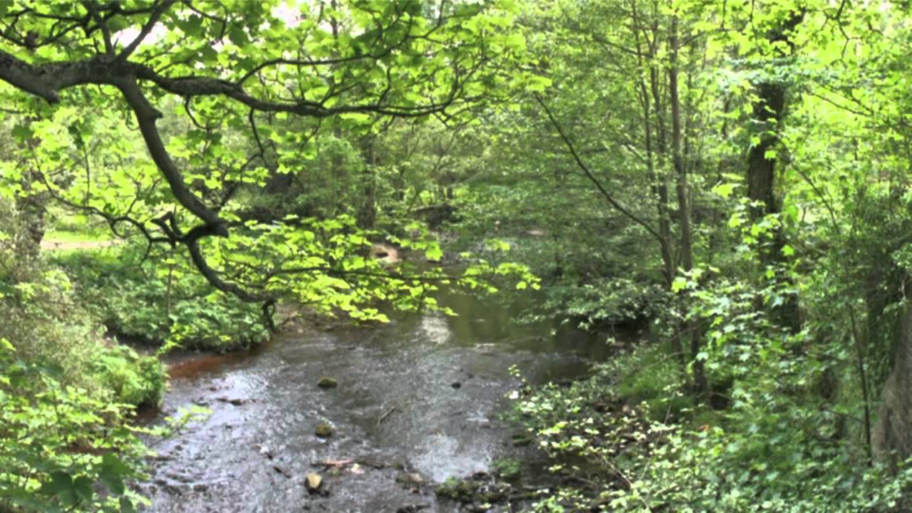 Goyt Valley walk 6: Taxal Edge