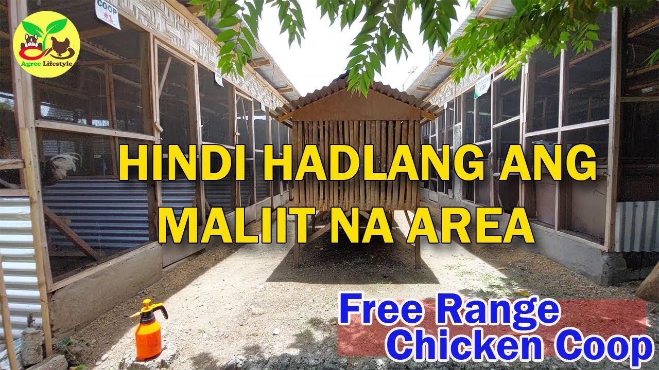 PWEDING GAYAHIN NINYO | FREE RANGE BACKYARD FARM TOUR