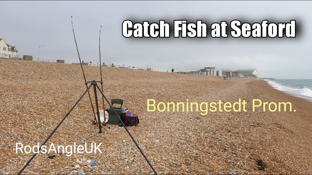 Catch Fish at Seaford: BONNINGSTEDT PROMENADE