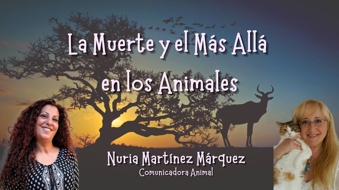 LA MUERTE Y EL MÁS ALLÁ EN LOS ANIMALES-Entrevista a Nuria Martínez Márquez (Comunicadora Animal)