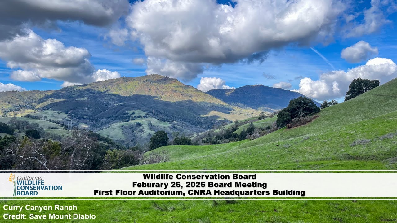 Wildlife Conservation Board February 2026 Meeting