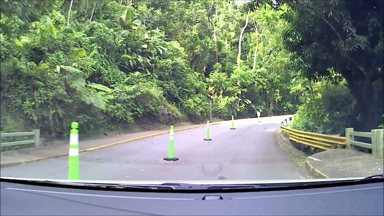 A Drive Through El Yunque National Forest Puerto Rico