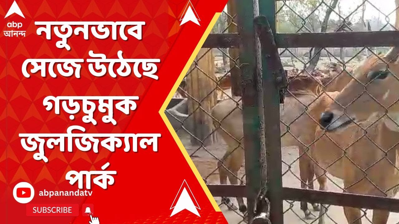 Garchumuk Deer Park: : শীতের মরশুমে নতুনভাবে সেজে উঠেছে উলুবেড়িয়ার গড়চুমুক জুলজিক্যাল পার্ক