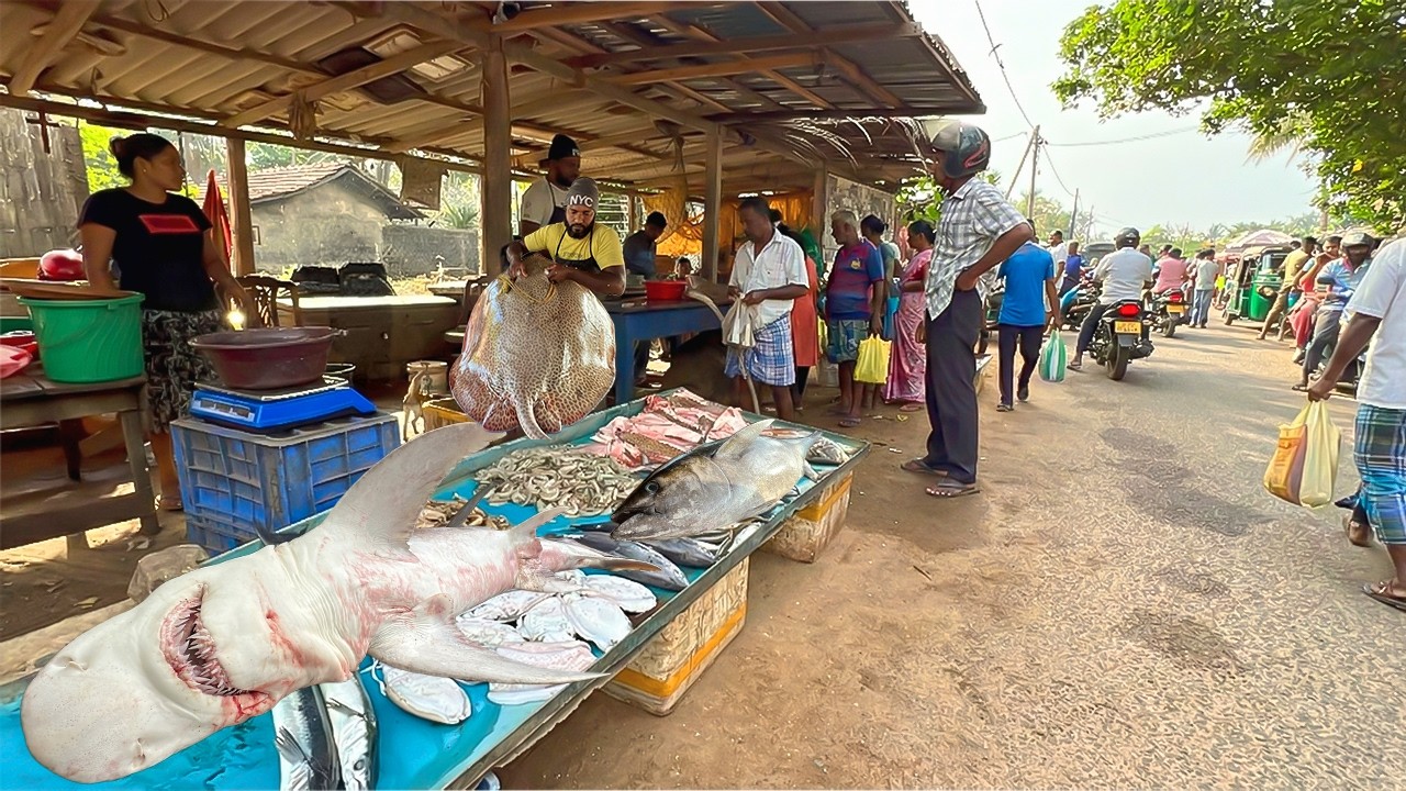 WOW! Sri Lanka Village Fish Market Life Hidden Island Daily Lifestyle  Fishmonger